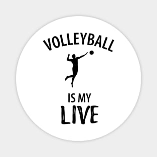 Volleyball Sport Team Play Gift Magnet